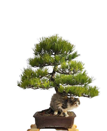 La Gioia di Coltivare la Natura